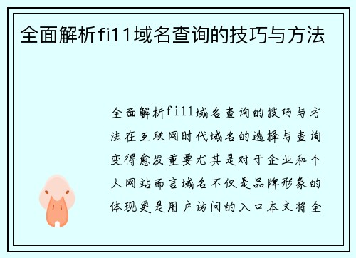 全面解析fi11域名查询的技巧与方法